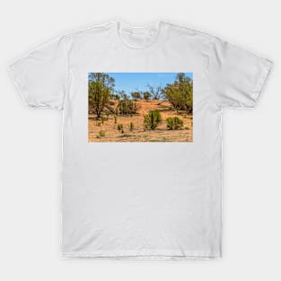 Red Landscape 2 T-Shirt